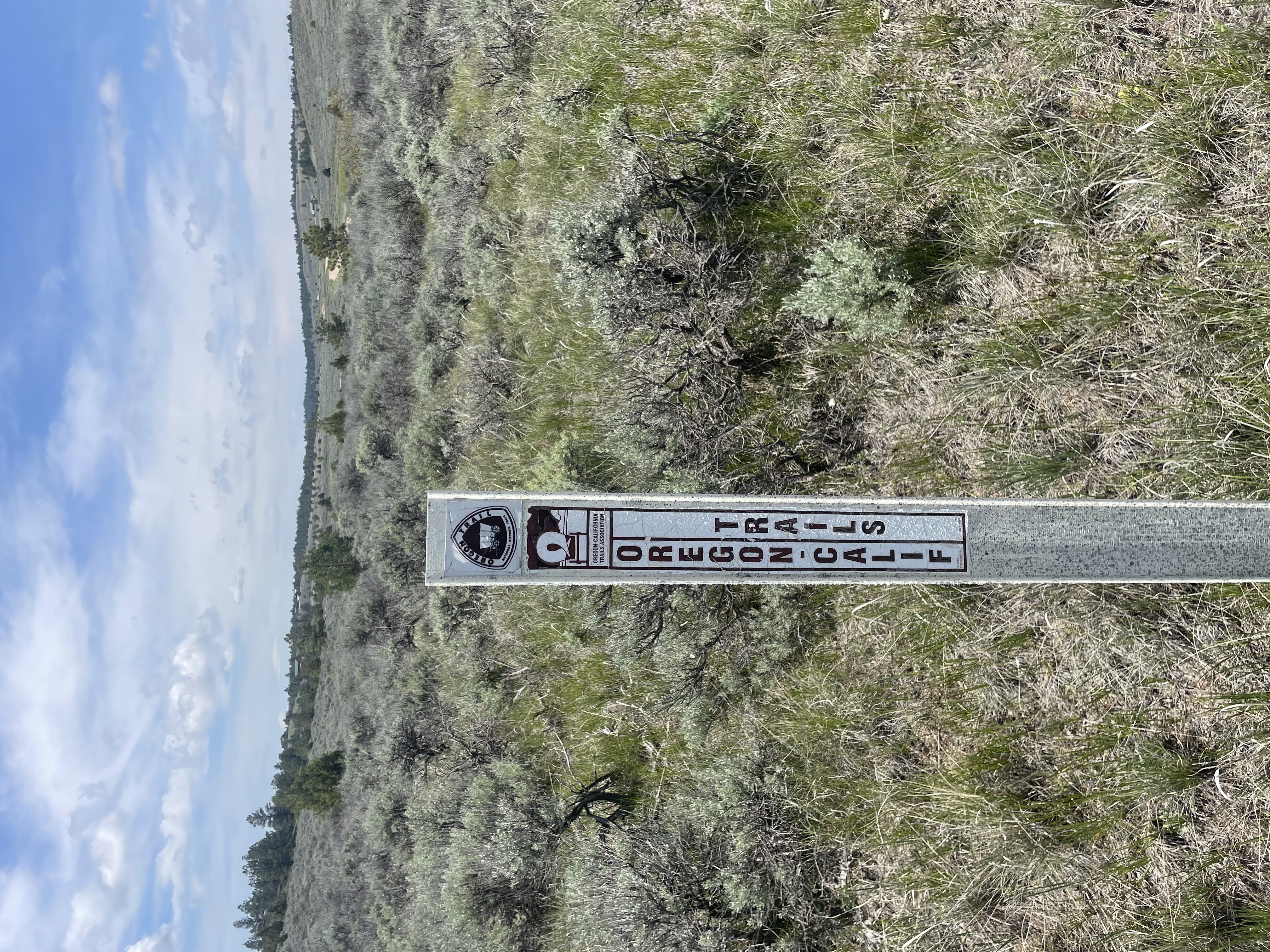 OCTA Marker